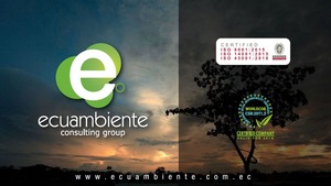 Revista